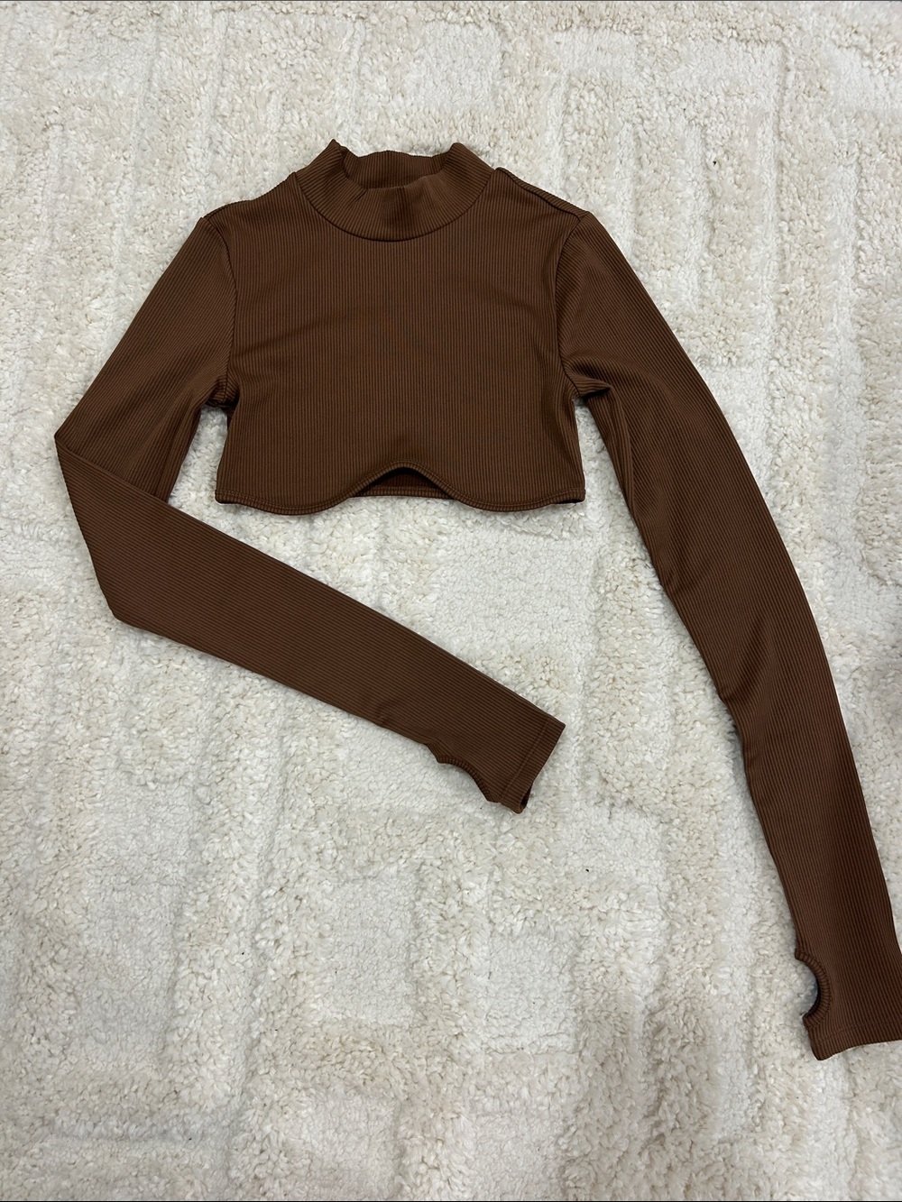 Brown Ribbed Mock Neck Cropped Top